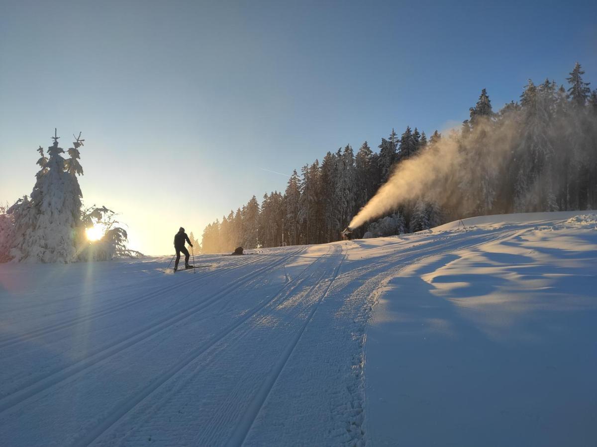 Ferienwohnung Lipno Riviera - Mysi V Bote Lipno nad Vltavou Exterior foto